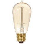 Vintage Light Bulb, Squirrel Cage Style